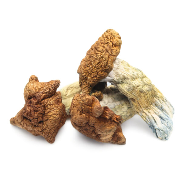 King-Kong-Magic-Mushrooms.jpg